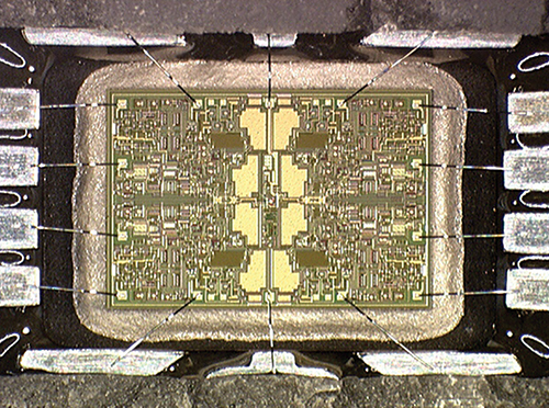 A microchip